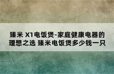 臻米 X1电饭煲-家庭健康电器的理想之选 臻米电饭煲多少钱一只